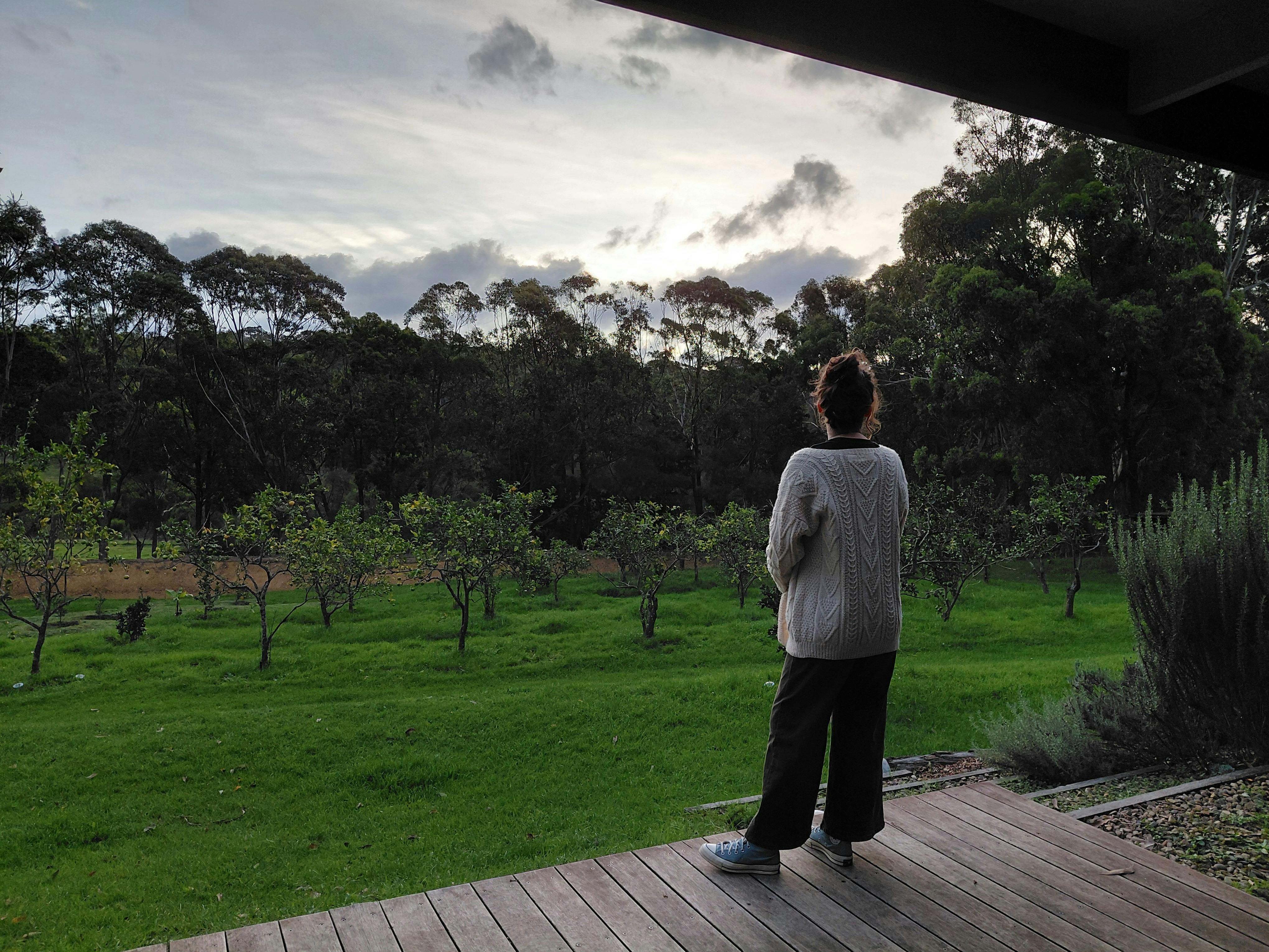 裏のデッキから果樹園を眺める