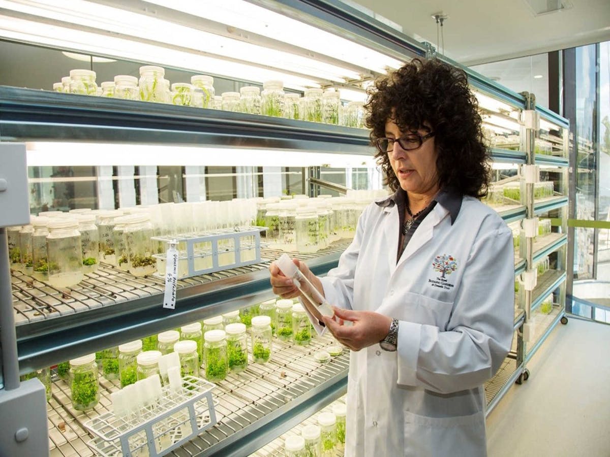Plantbank Tours