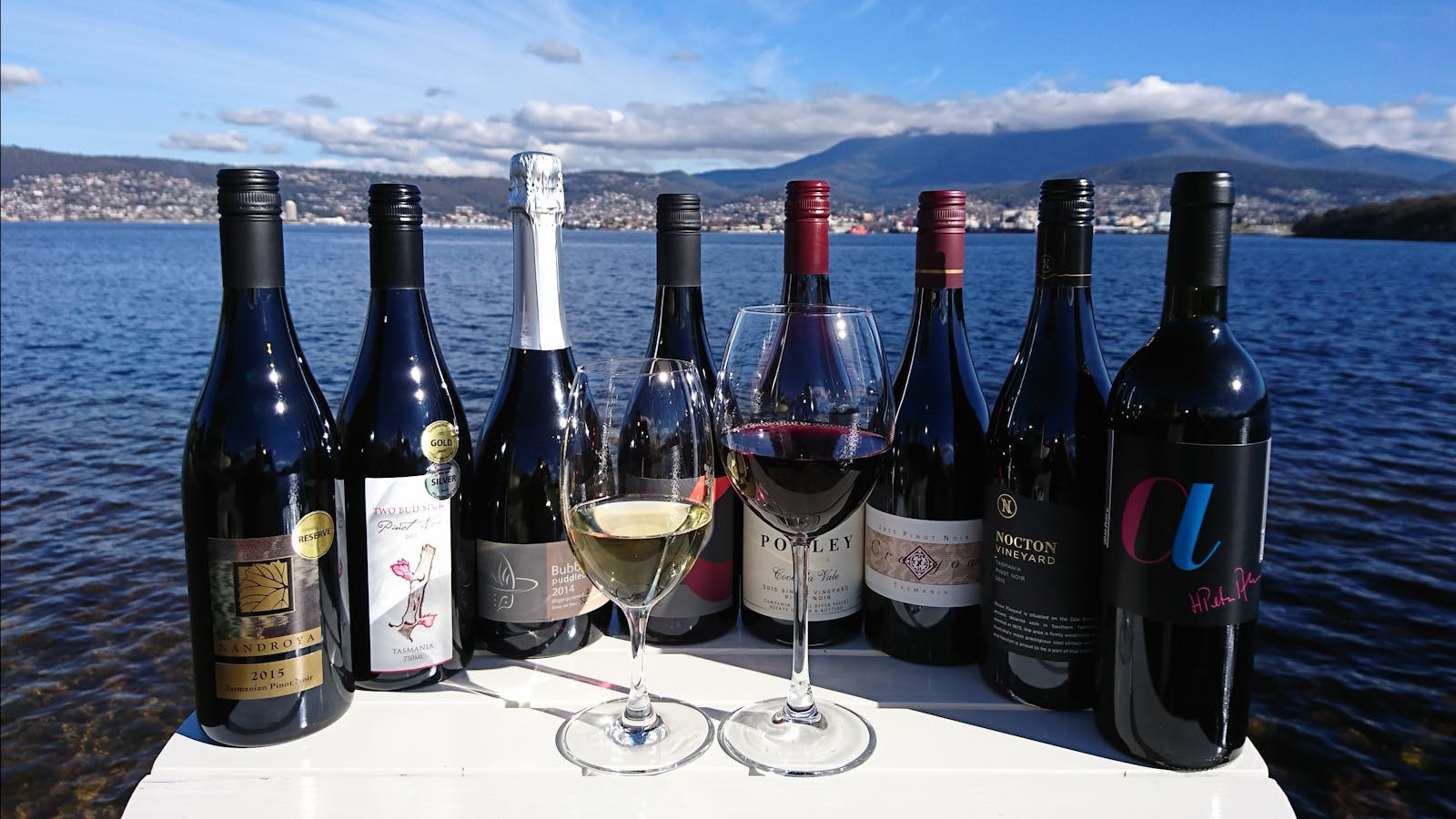 Perfect Wines from the Vineyards we Visit