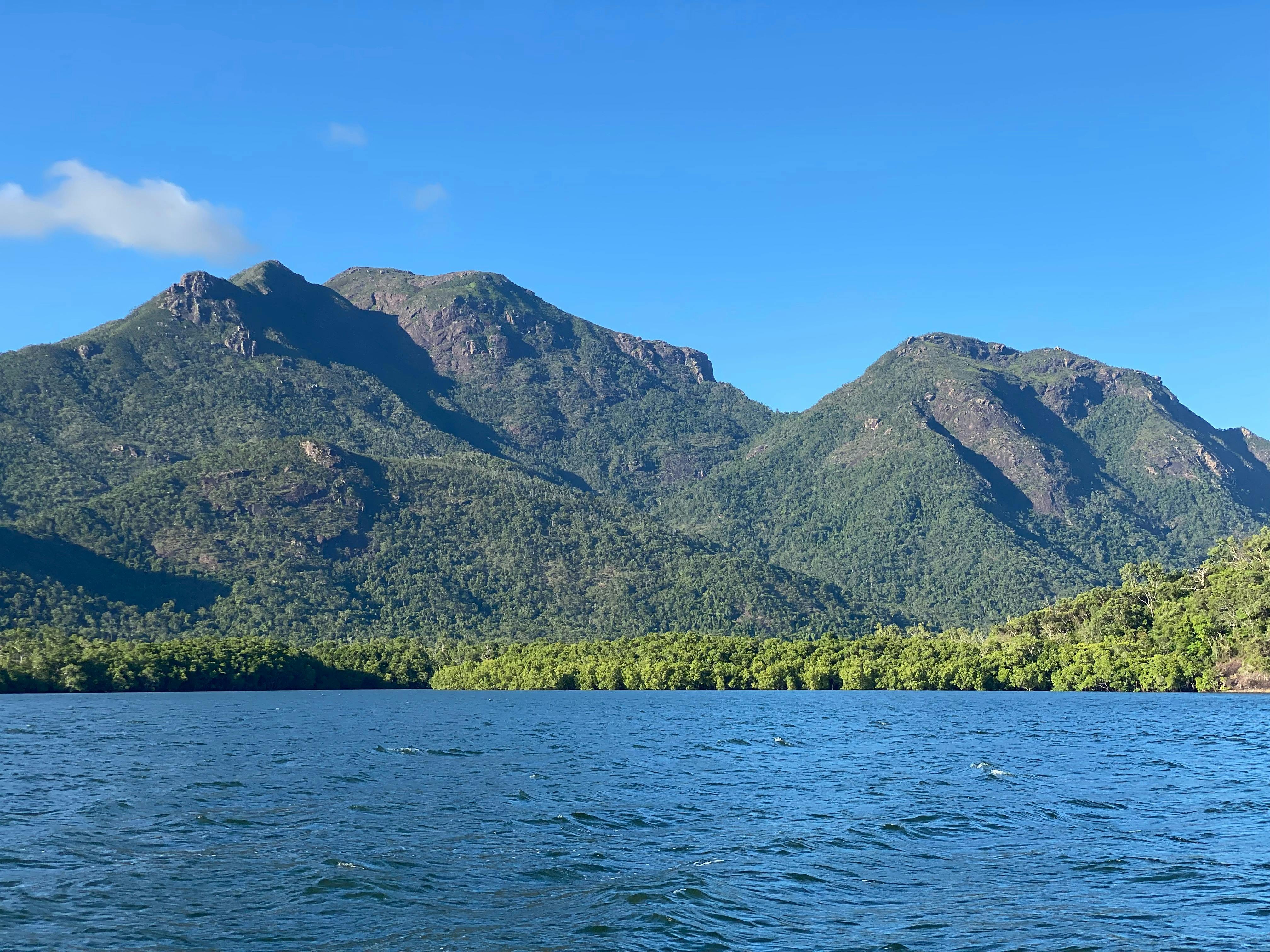 The mountains riseing up from the mangrove forest on Hinchinbrook Island