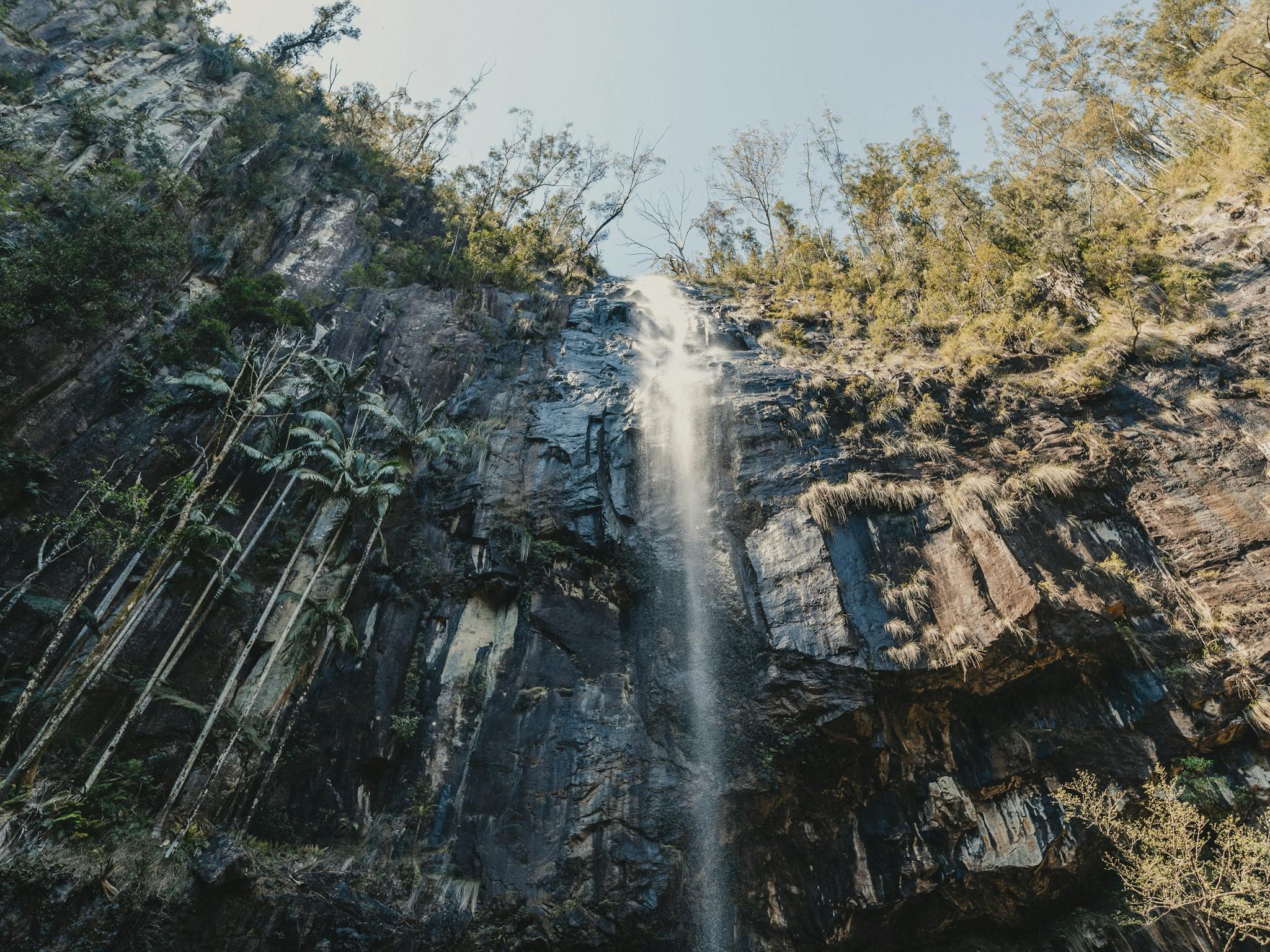 Protesters Falls