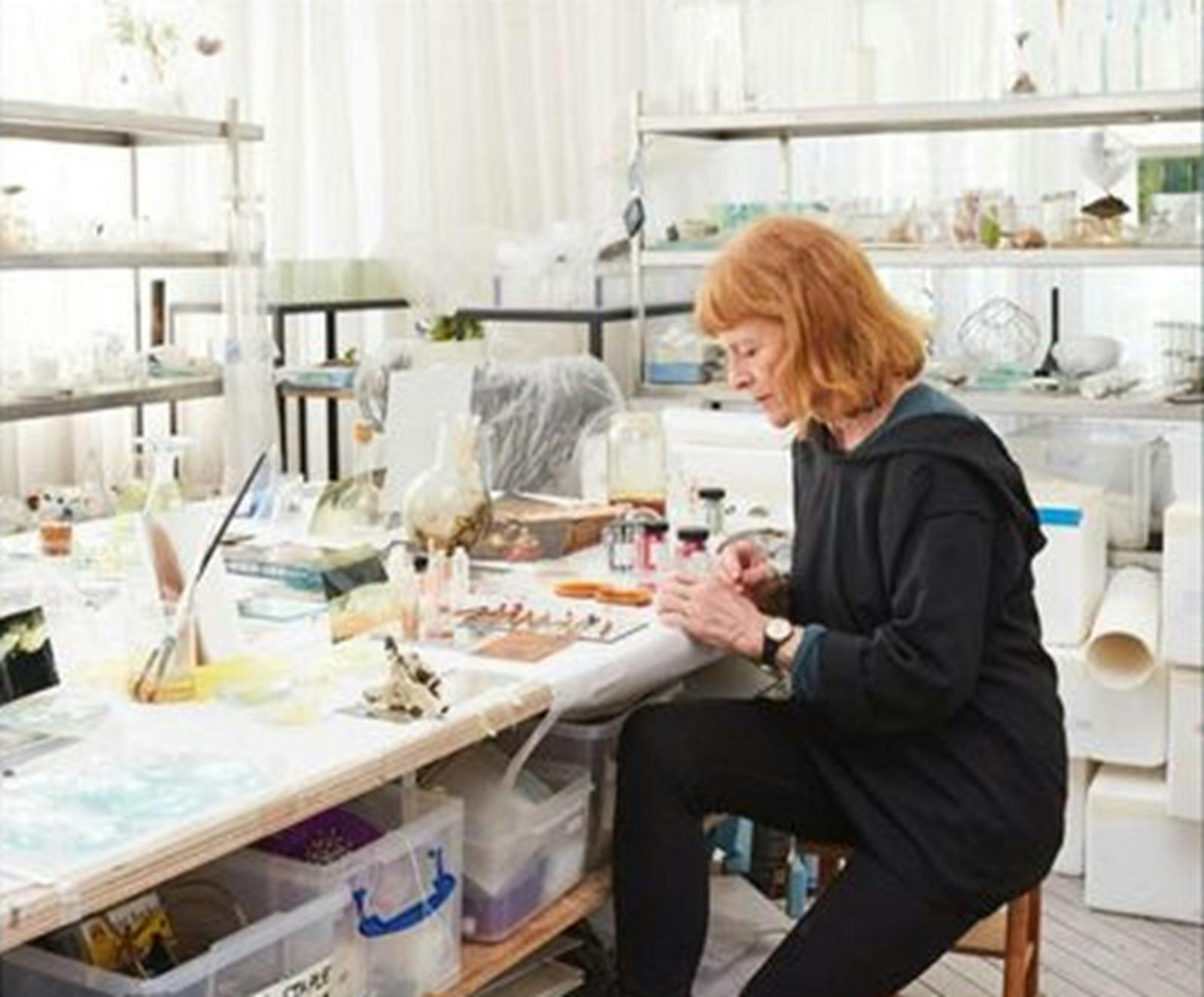 Janet Laurence artist