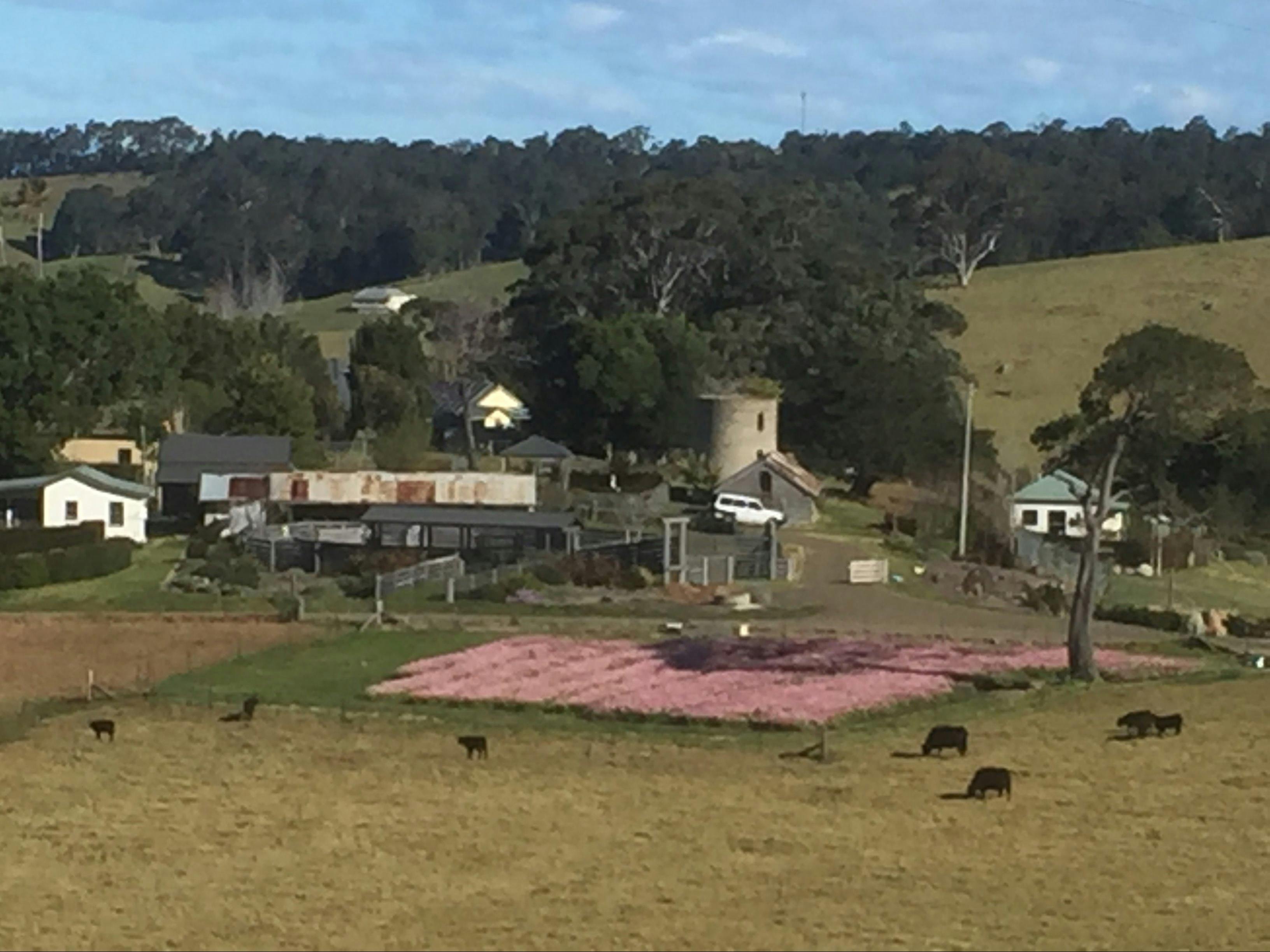 Mountain View Farm NSW Holidays & Things to Do