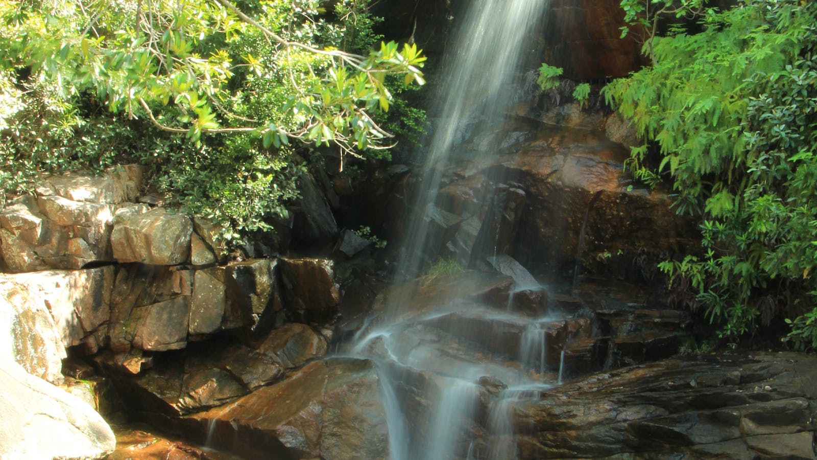 Boulder Creek Walk