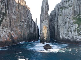 Totem Pole Tasman Island Cruises