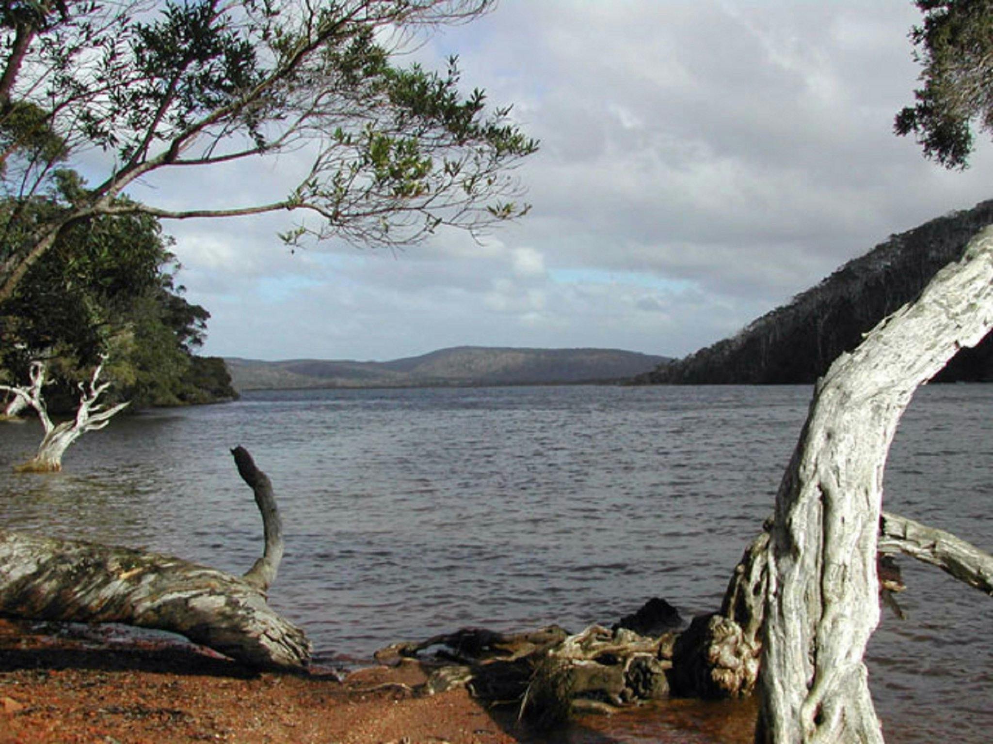 Walpole-Nornalup Inlet in Walpole - The Fold: Your Guide to Everything ...