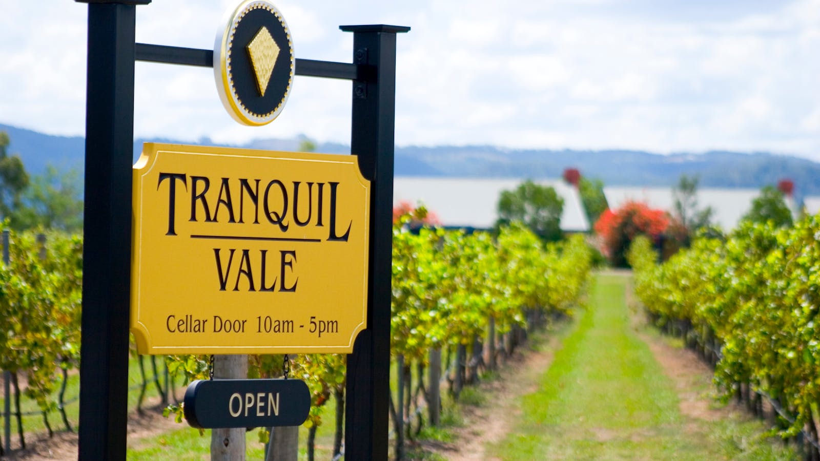 Tranquil Vale Vineyard