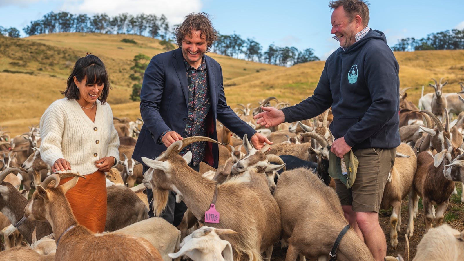 Goat dairy immersion