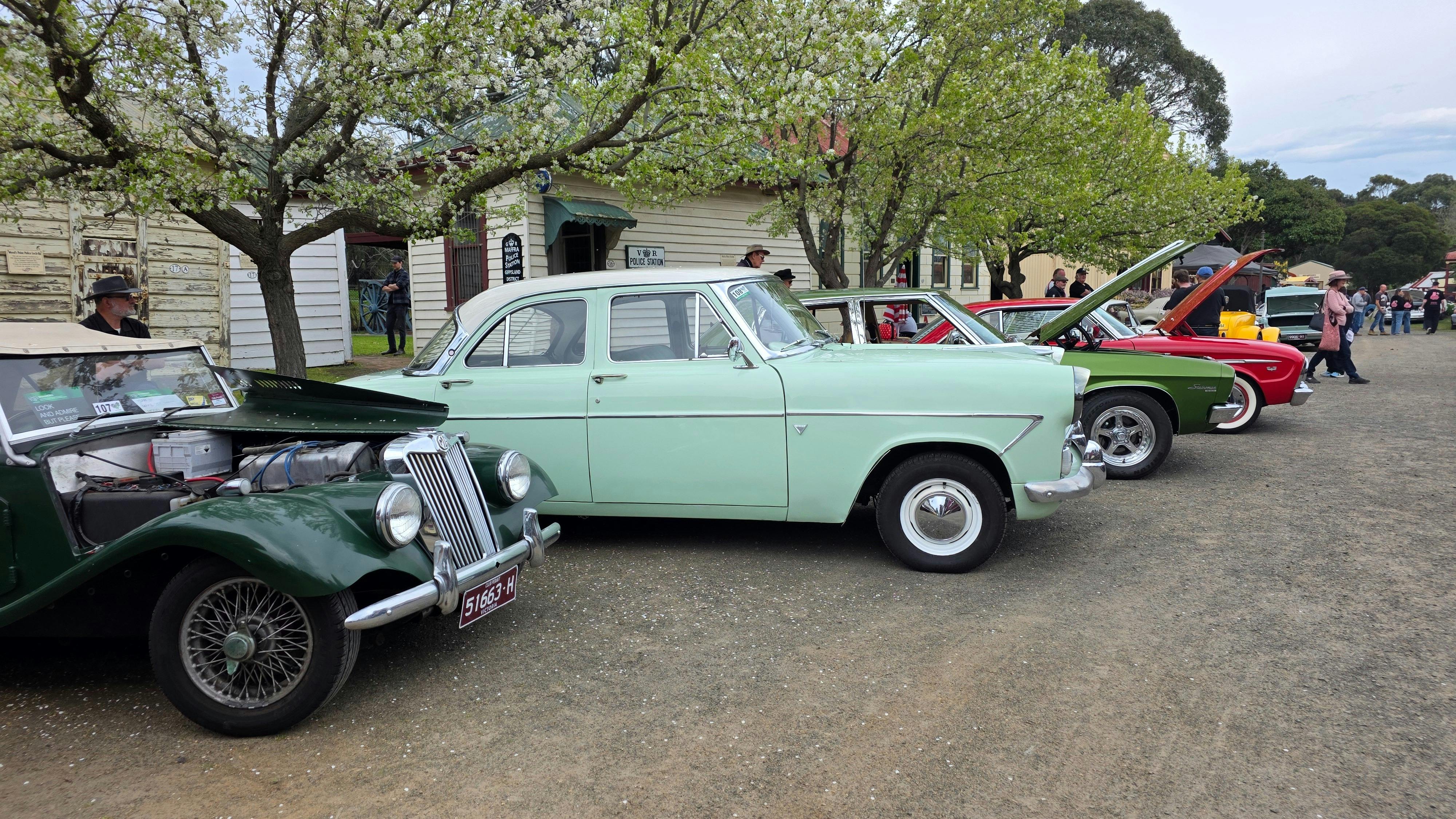 Display of old cars parked along a tree lined street