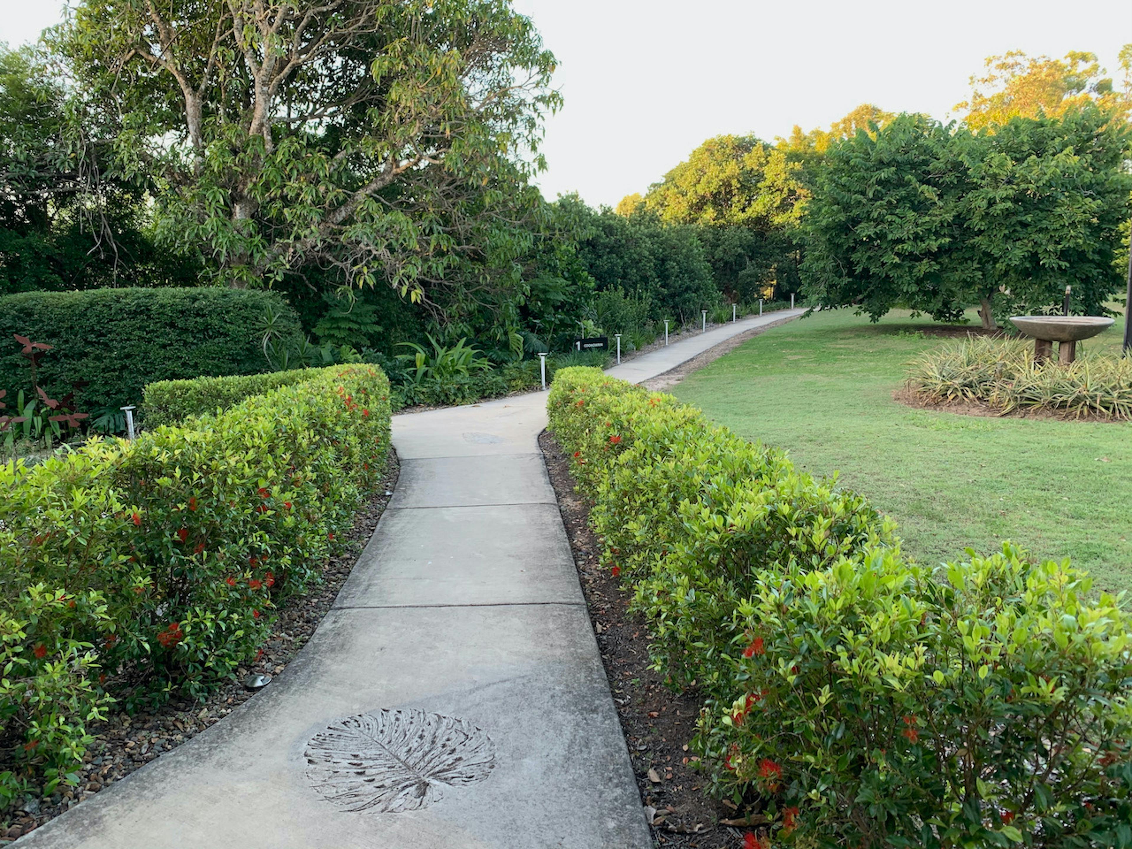 Down the garden path...