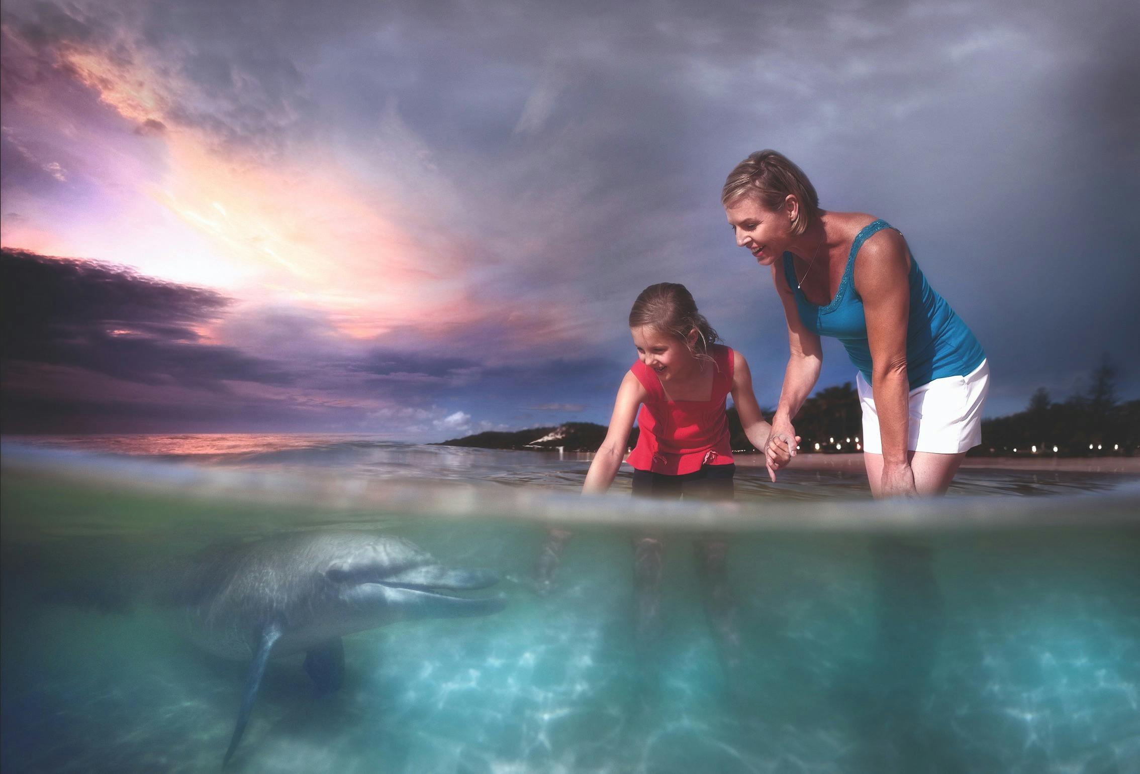 Upgrade to Wild Dolphin Viewing or Feeding