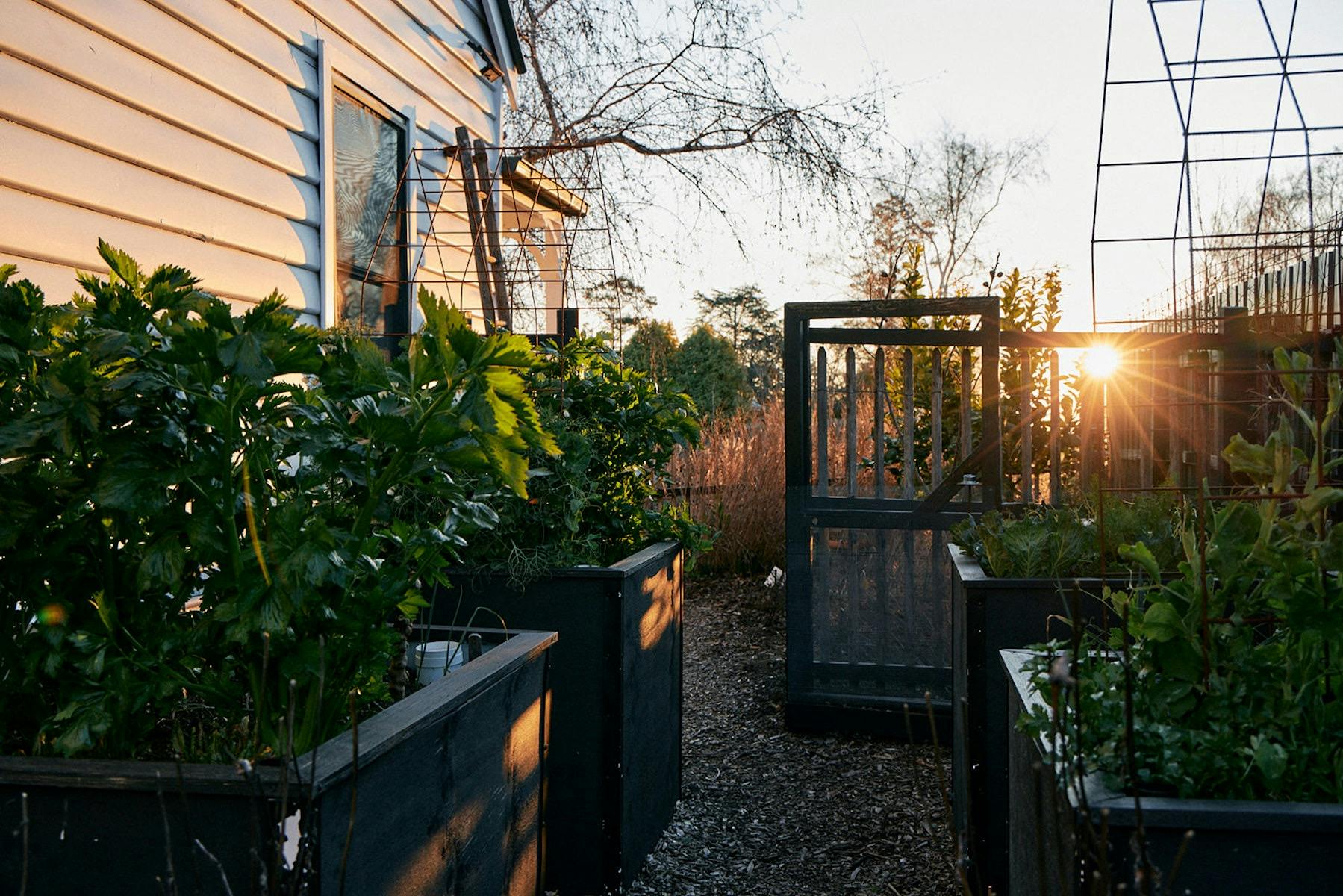 The productive wicking bed garden by Natasha Morgan at Little Cottage on a Hill