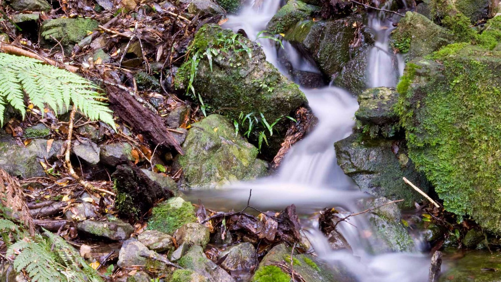 Mount Hyland Nature Reserve
