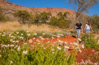 Alice Springs Desert Park