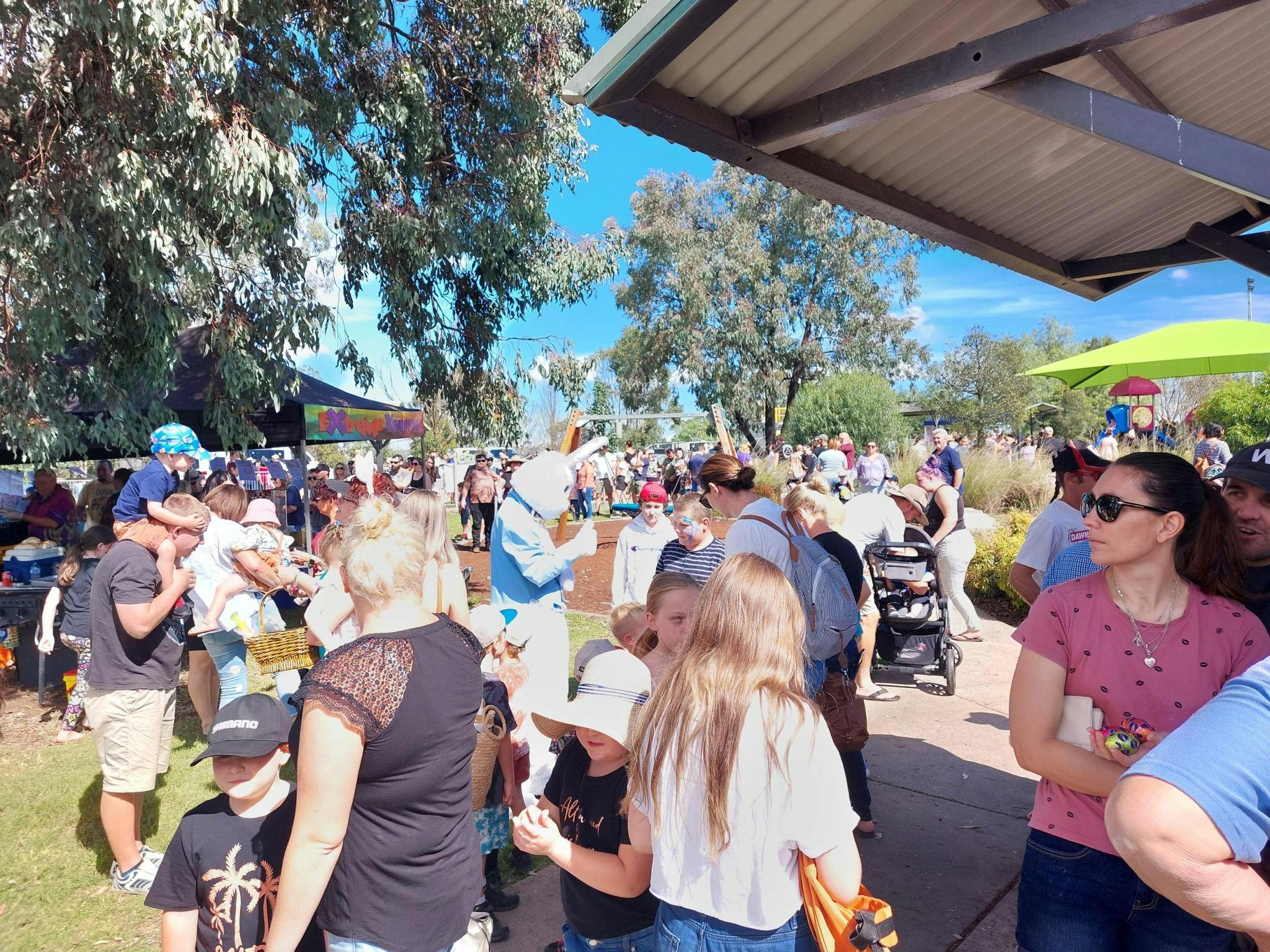 Muswellbrook  Shire Council
