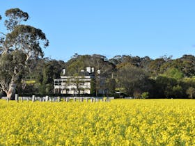 Padthaway Estate