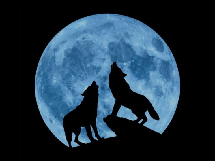 Silhouette of two wolves howling to the sky backlit by a large blue moon.