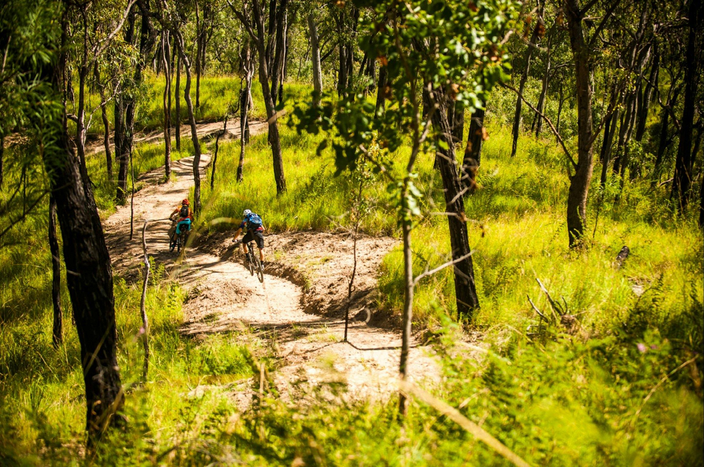 davies creek mountain bike park