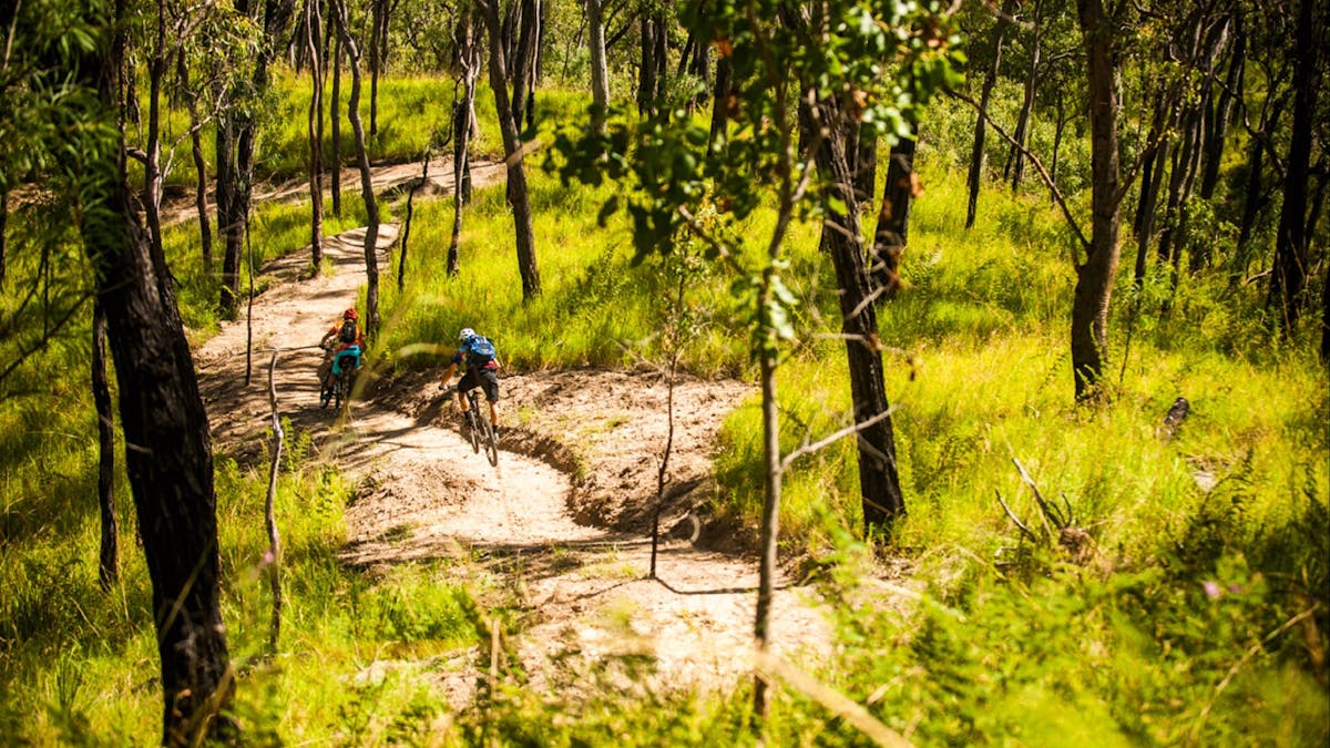 Davies Creek Mountain Bike Park