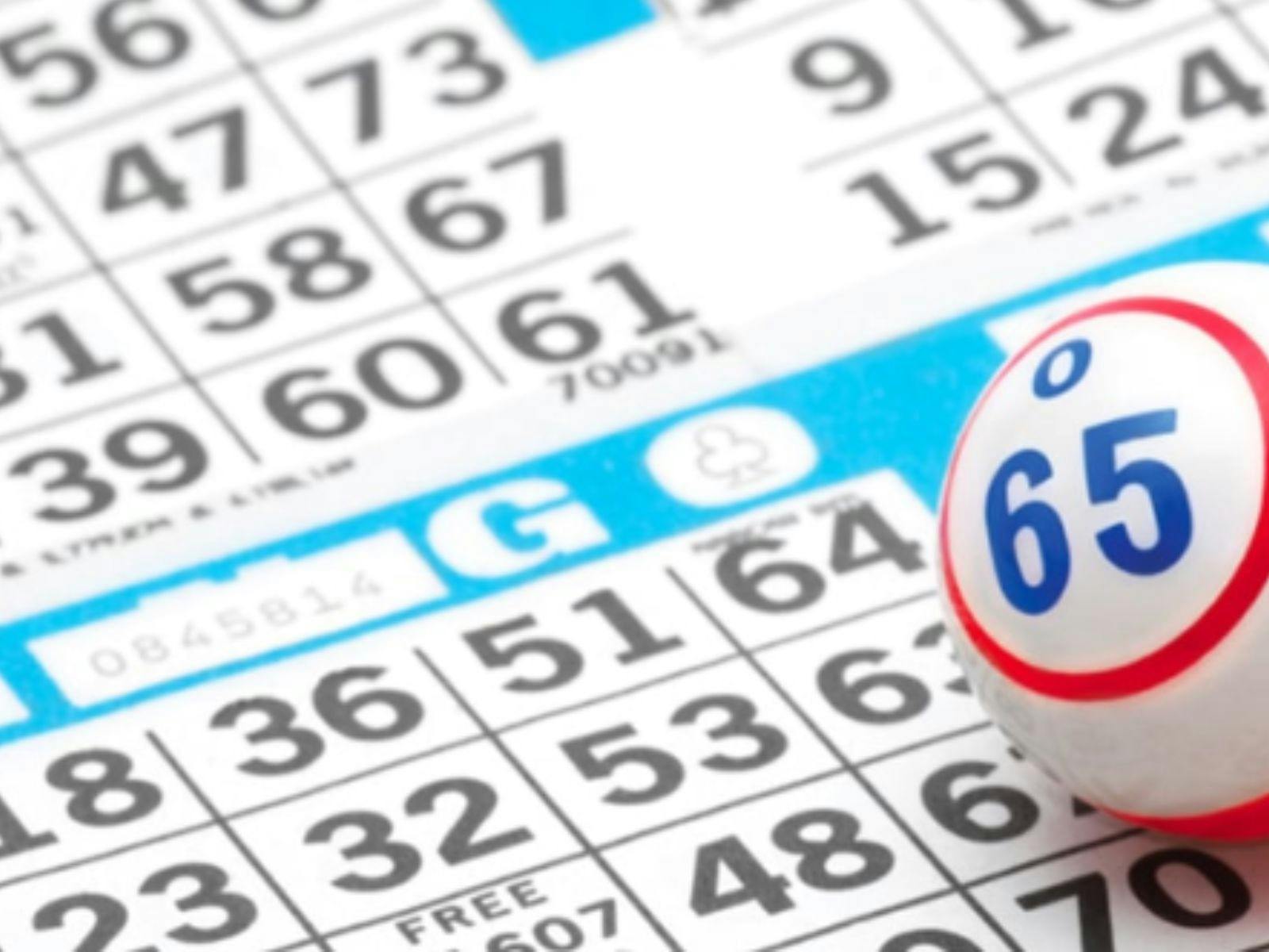 Bingo Tuesdays