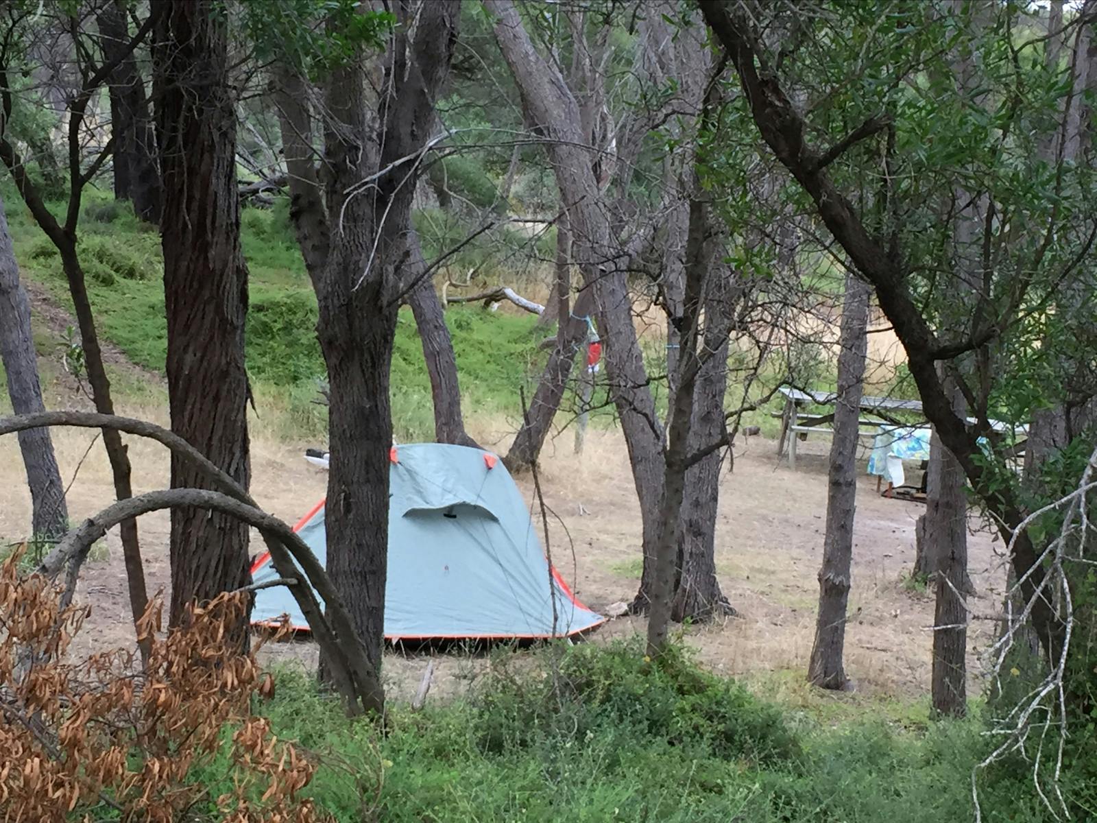 Sheltered camp spots at Allports Beach Flinders Island Tasmania