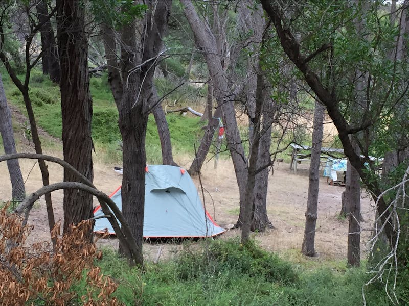 Allports Beach Camping Ground
