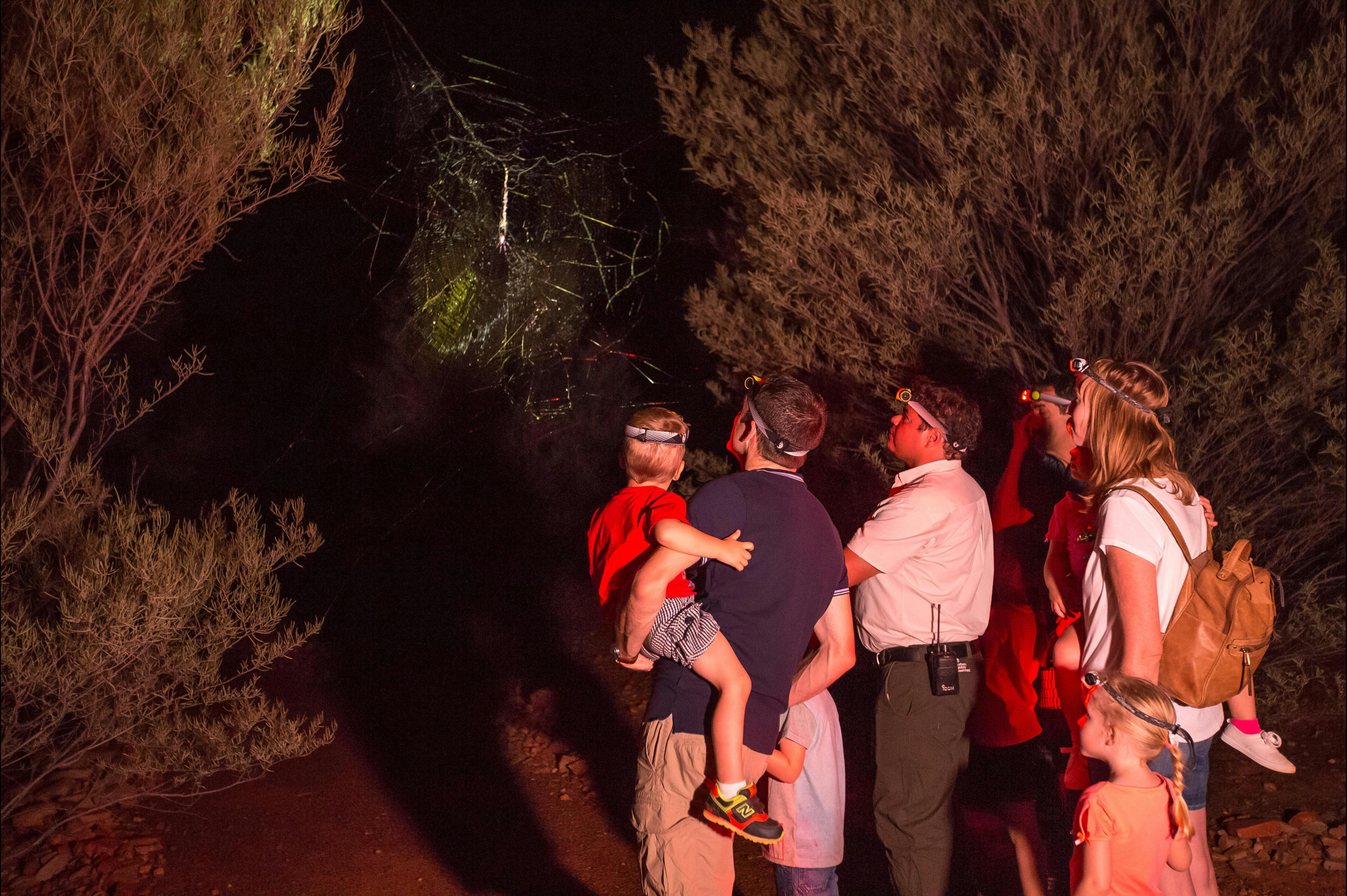 Alice Springs Desert Park - Nocturnal Tour