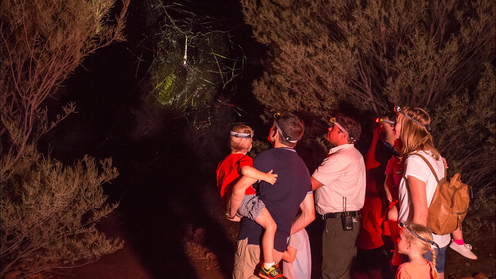 Alice Springs Desert Park – Nocturnal Tour
