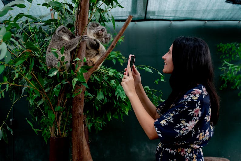 Image of the event 'Australian Wildlife Tour'