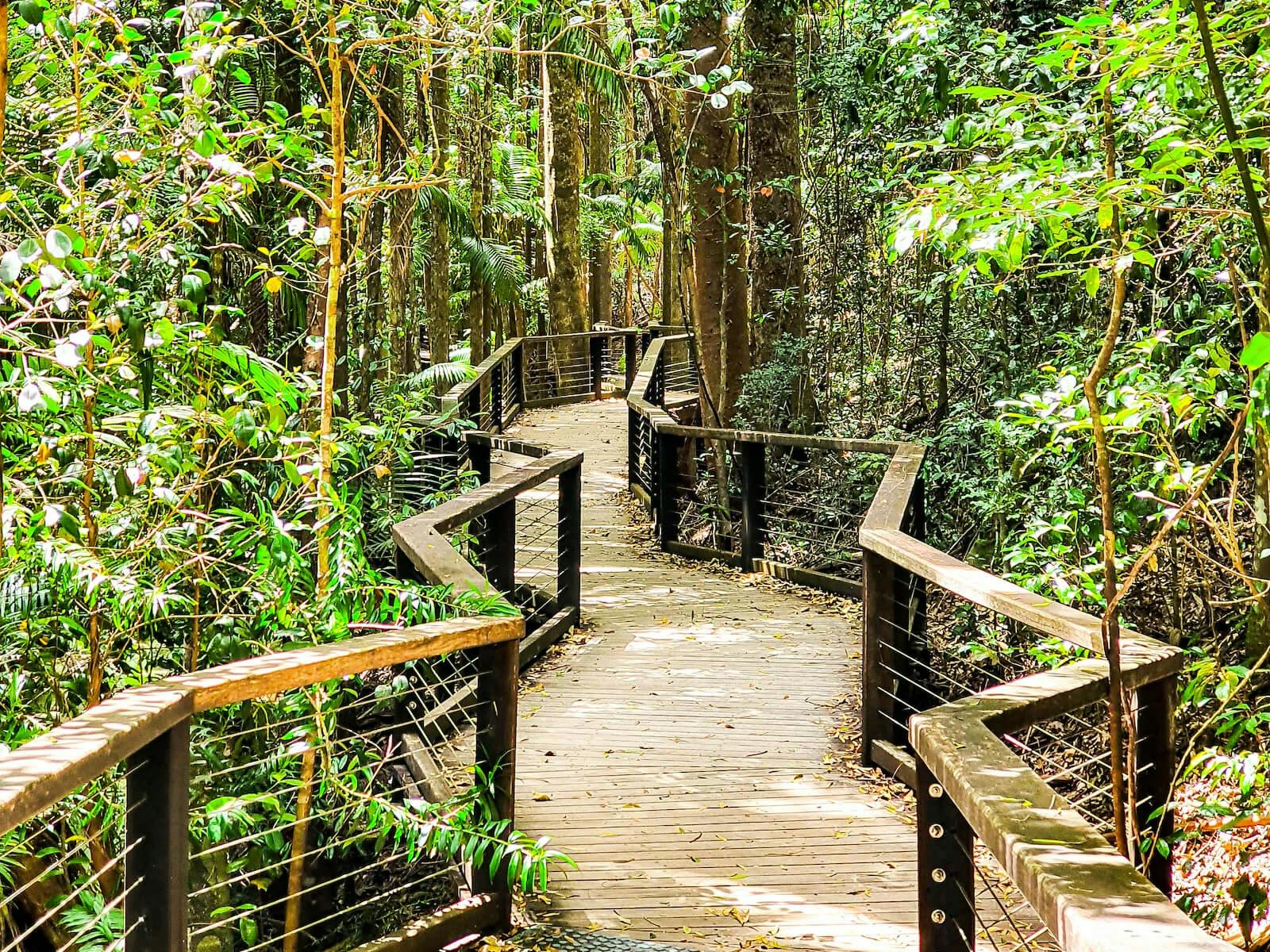 K'gari Day Tour (Noosa to Noosa)