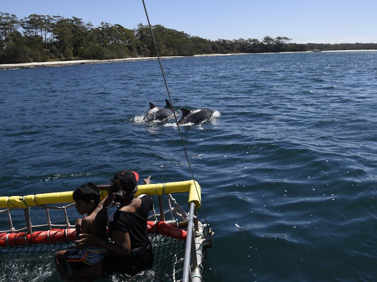 Jervis Bay Boom Net