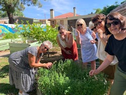 Indigenous food tasting