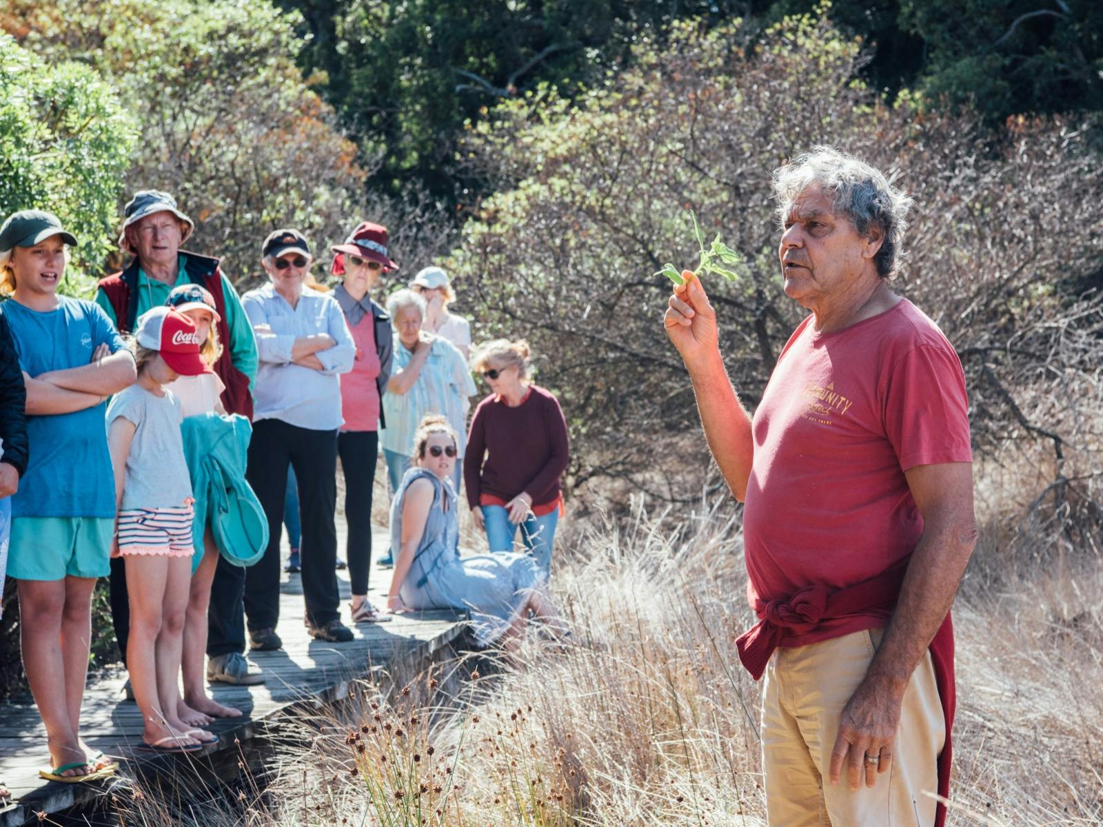 Bush foods harvested by traditional owners on country