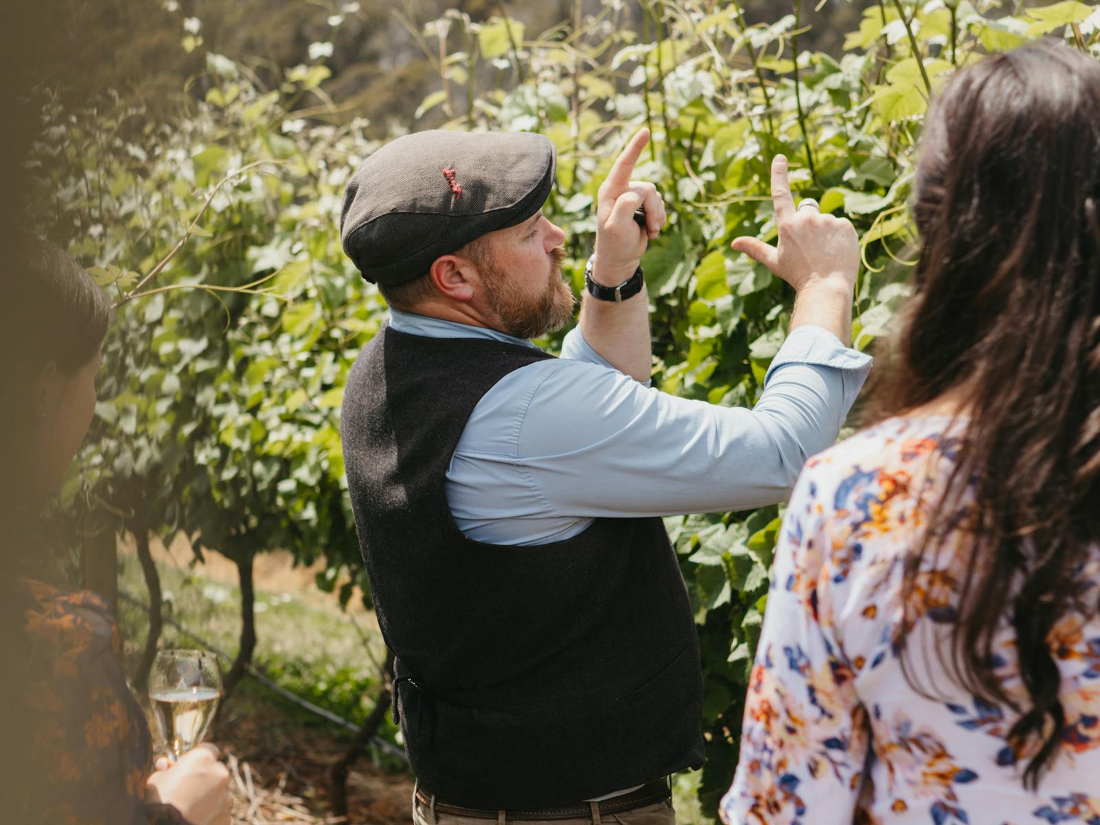 Guides will show our viticulture and history in an immersive vineyard setting.