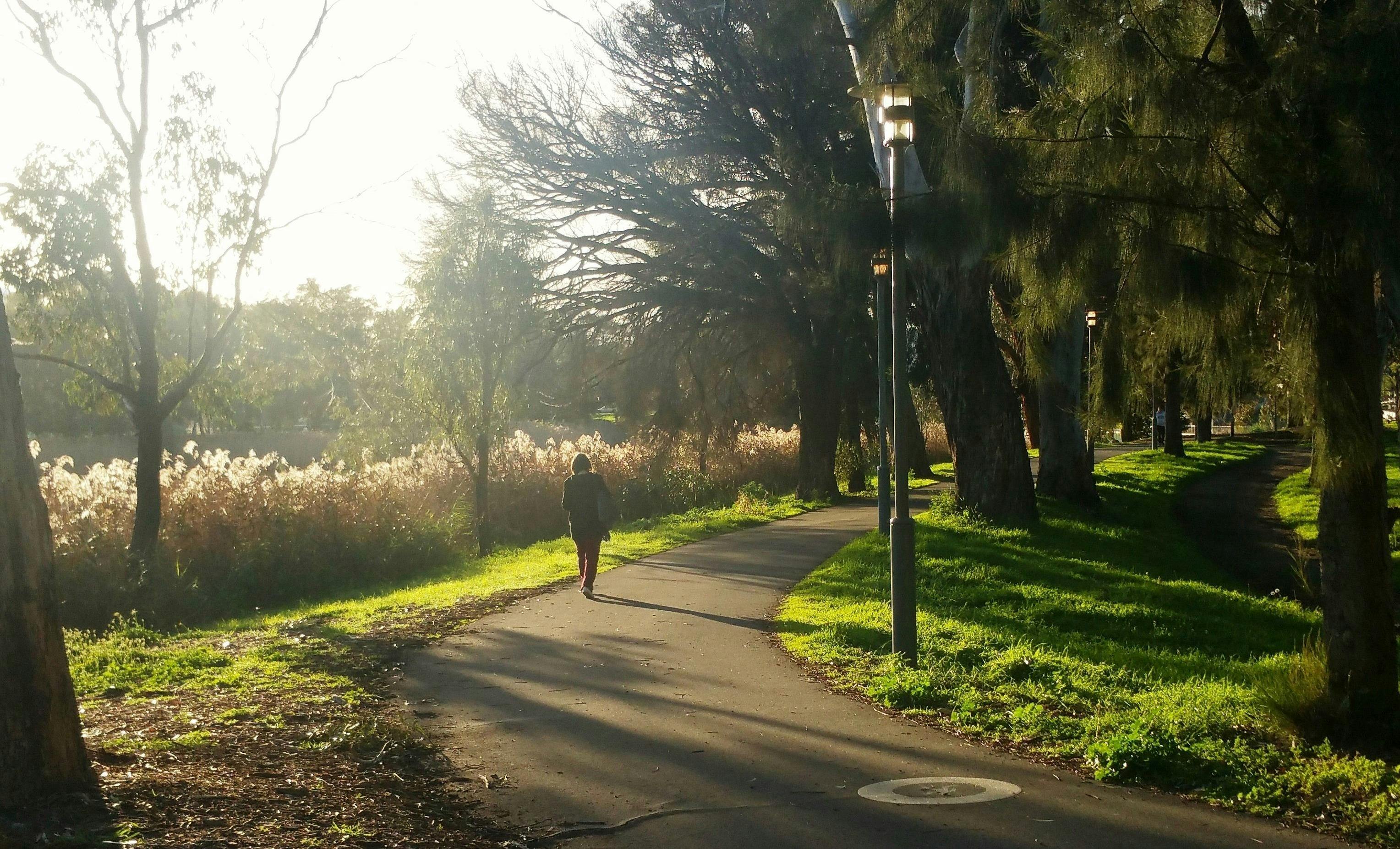 Helen Mayo Park (Park 27)