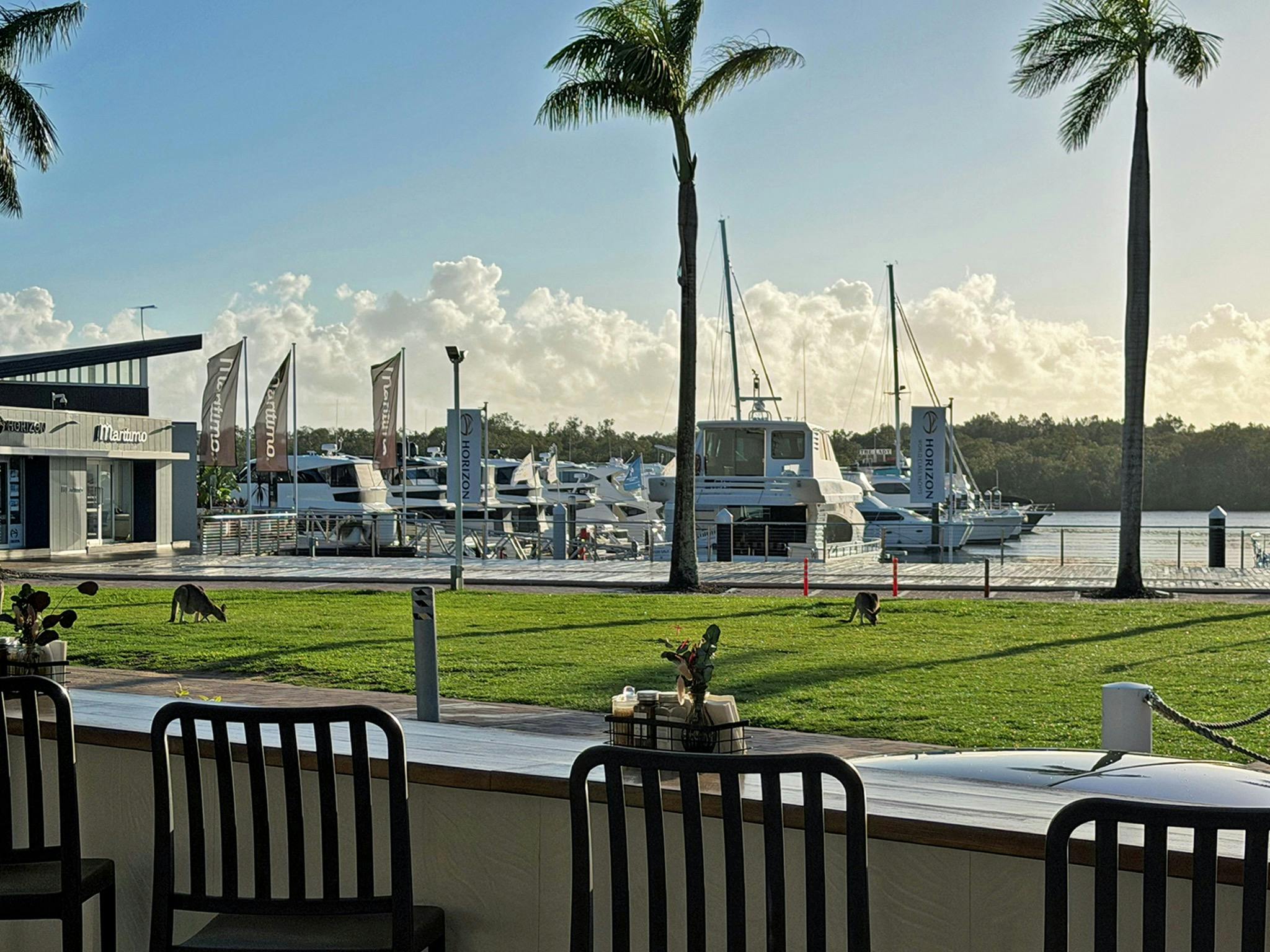 Unique cafe with native infused menu water views and kangaroos