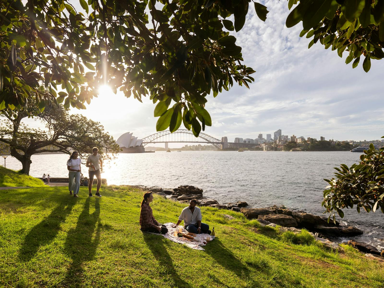 Sydney Royal Botanic Gardens
