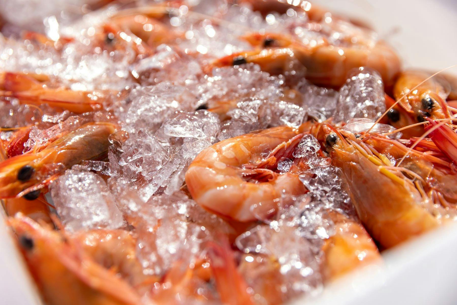 seafood