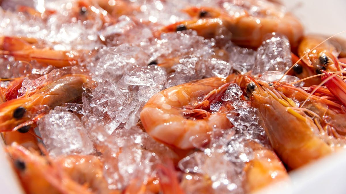 seafood
