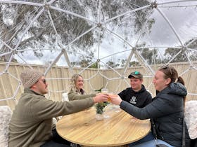 Winter Dome experience