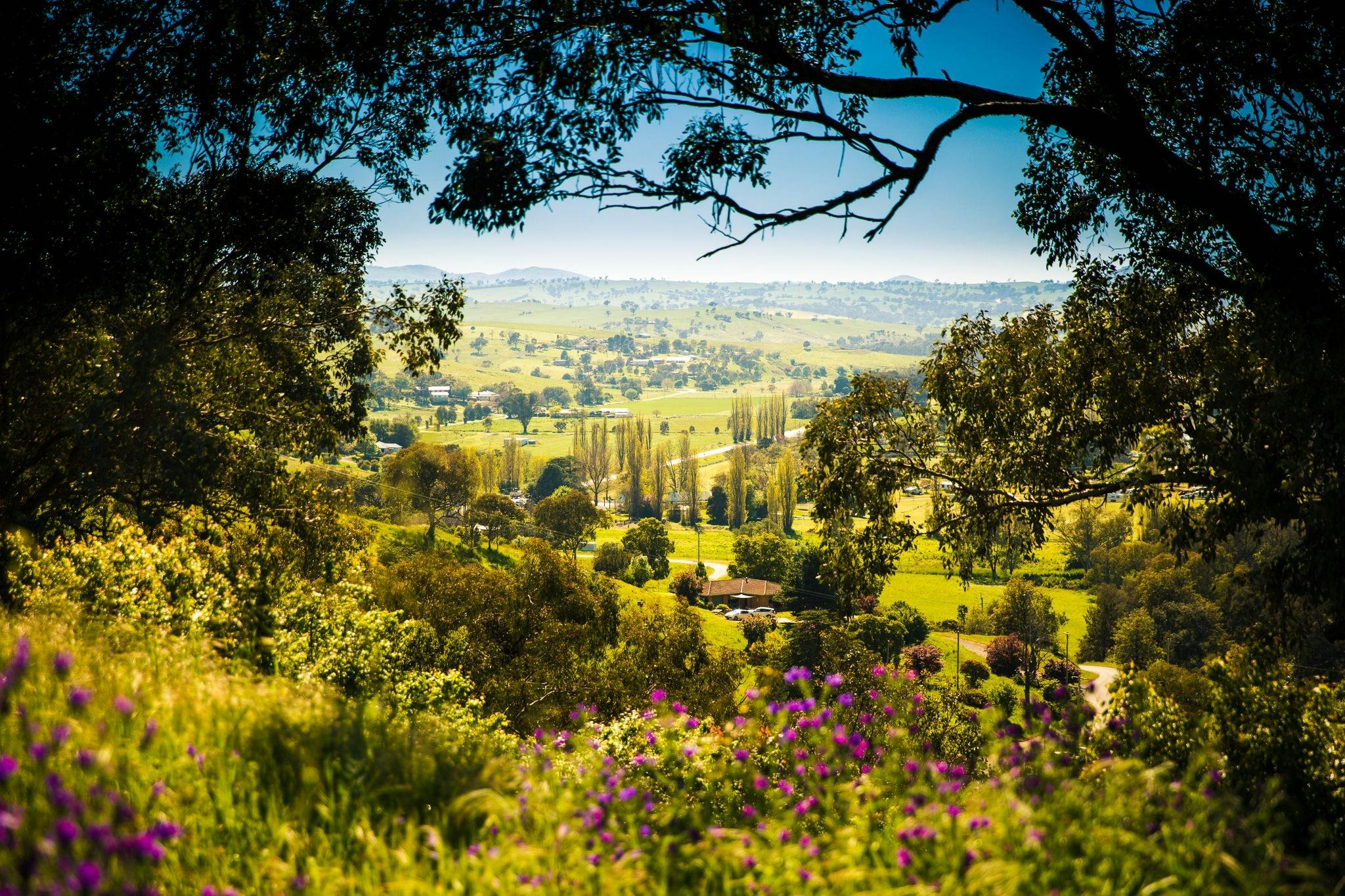View from the look out