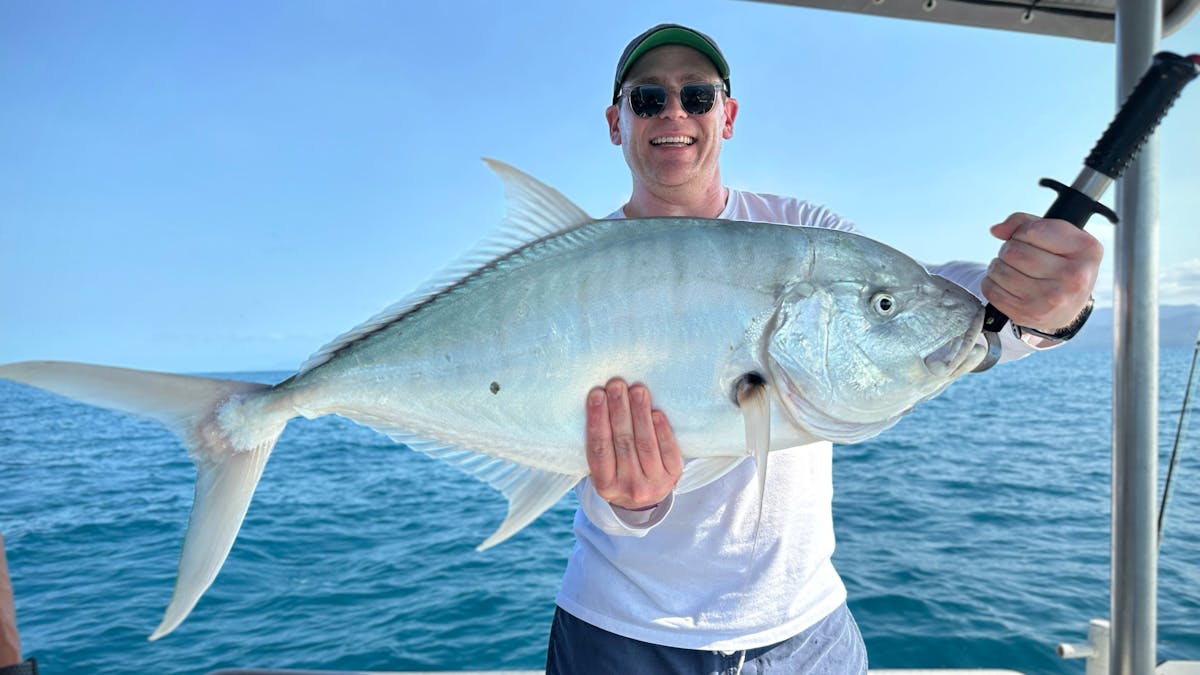 Golden Trevally