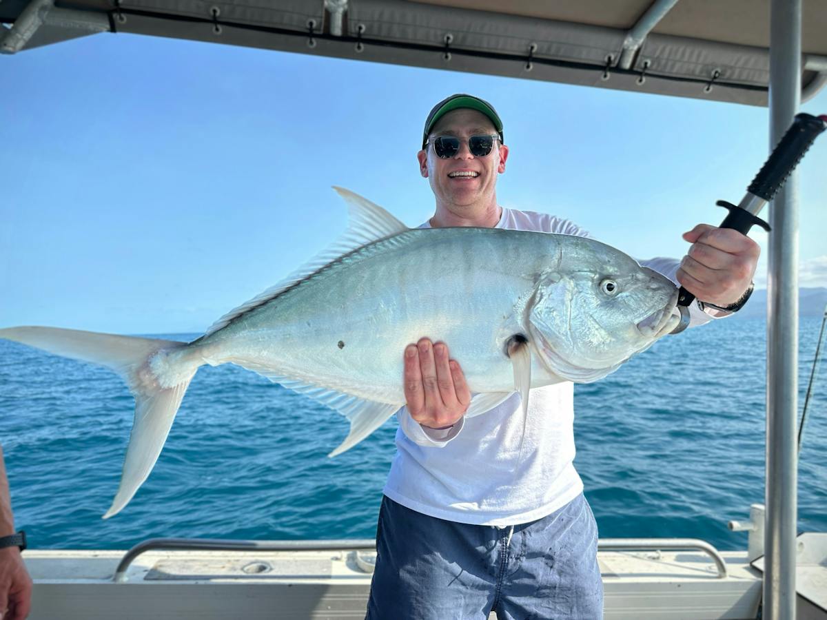 Golden Trevally