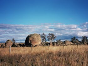 Berridale image