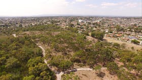 The Pines Flora and Fauna Reserve