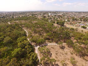 The Pines Flora and Fauna Reserve