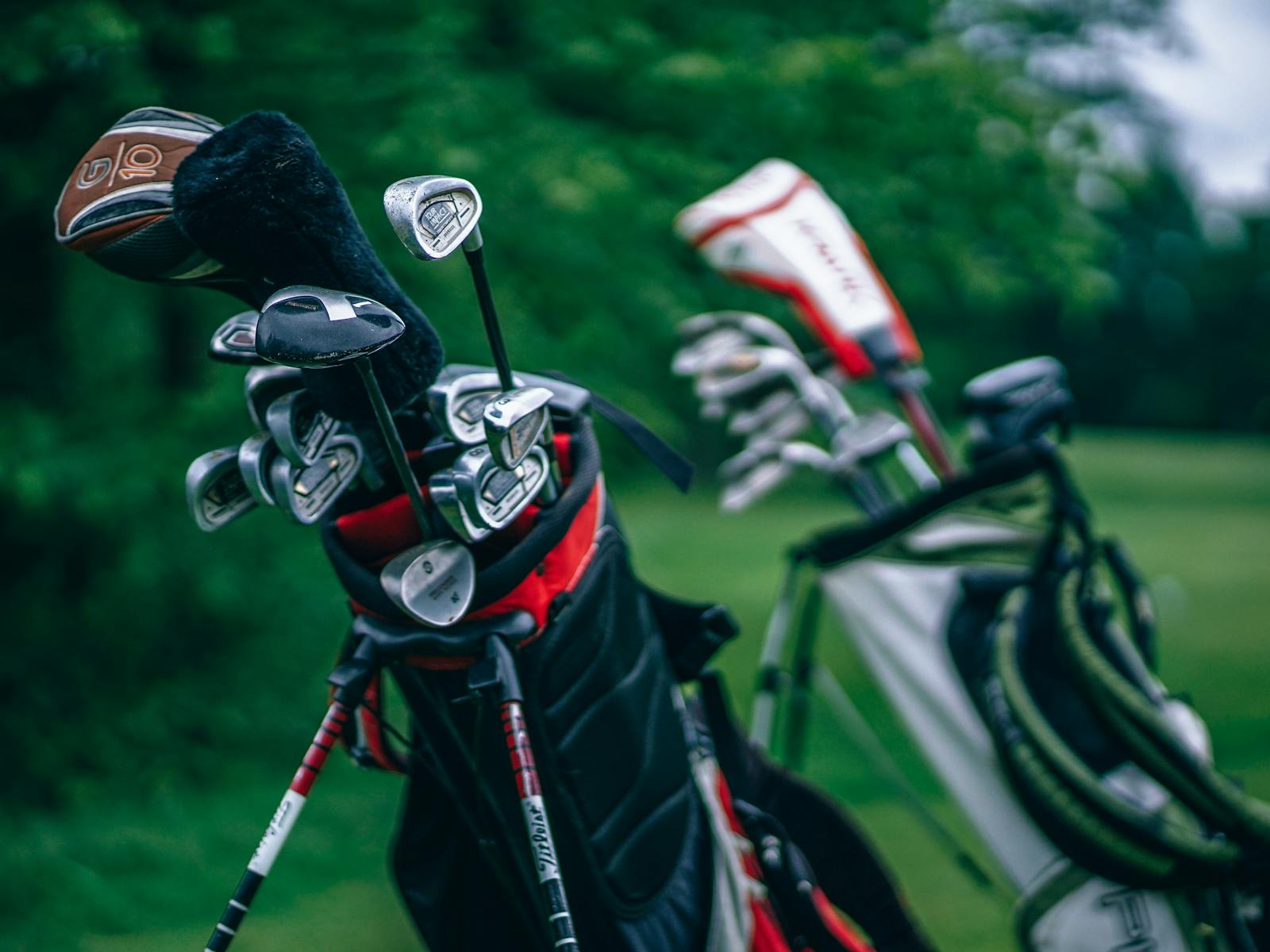 Image for Maclean Golf Club - Veterans Week Of Golf