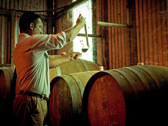 Monichino Wines