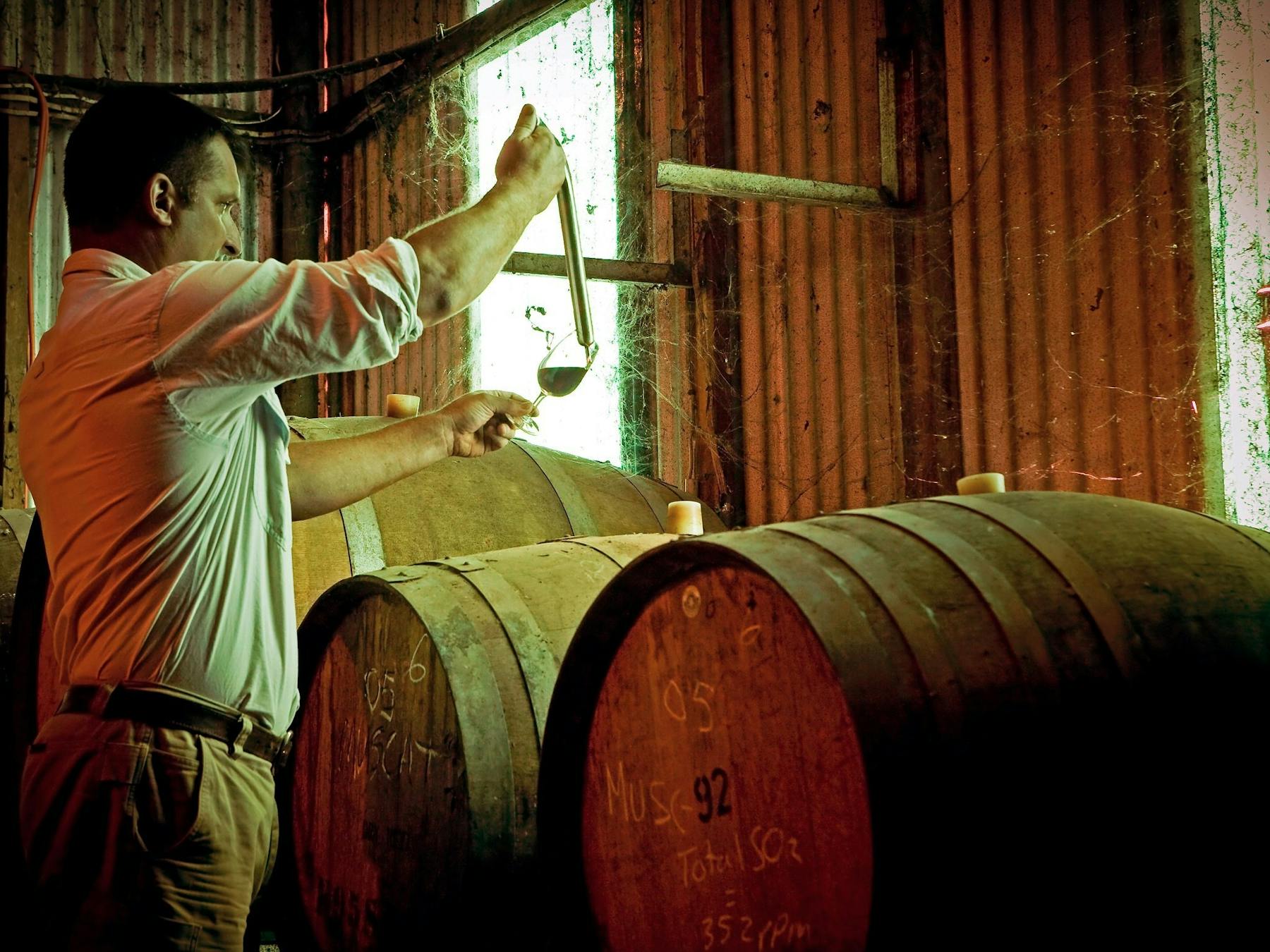 Terry Monichino Chief Winemaker