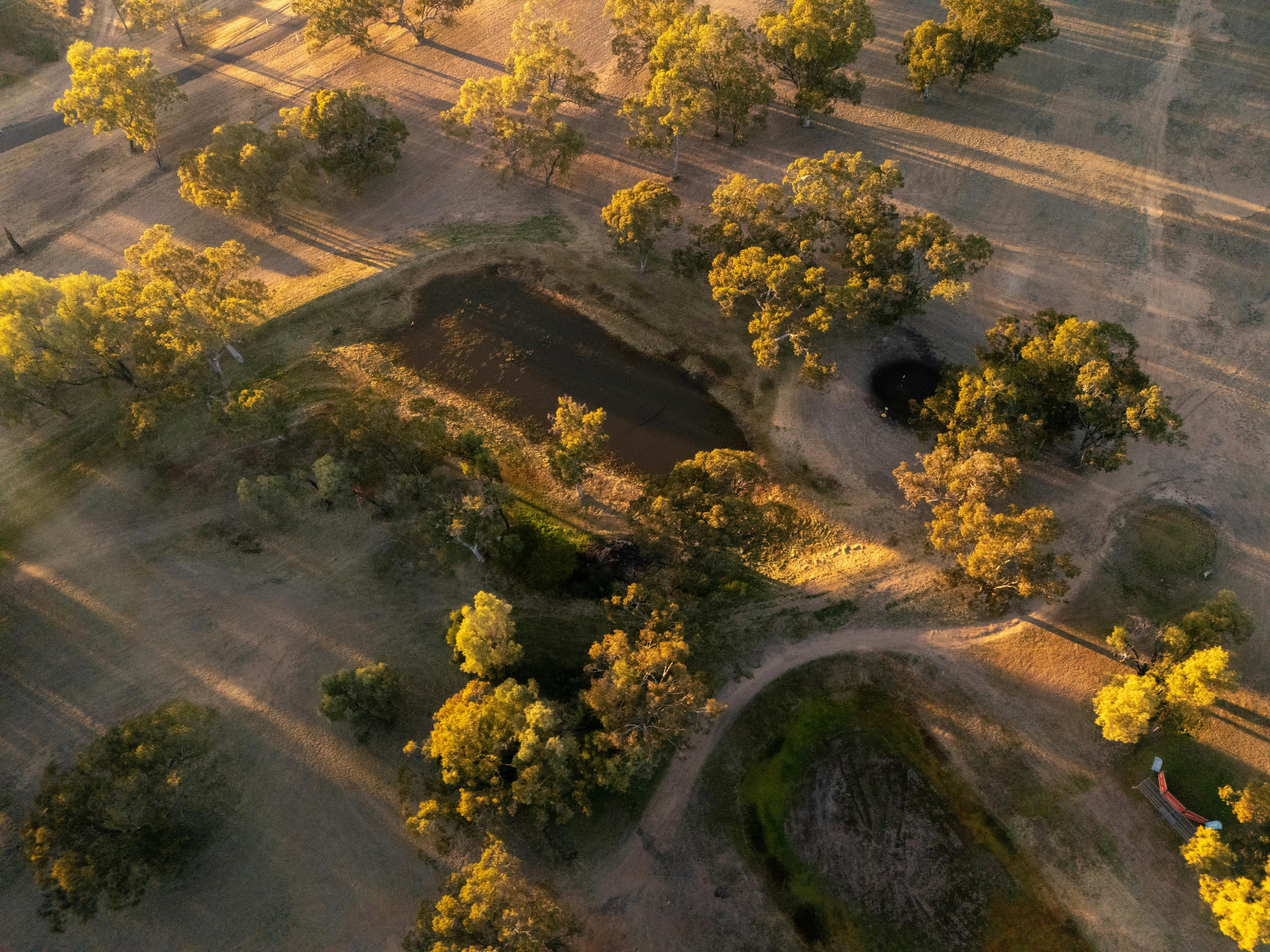 Mitchell Golf Club